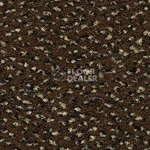 Ковролин Balsan Zenith Roll 755 фото 1 | FLOORDEALER